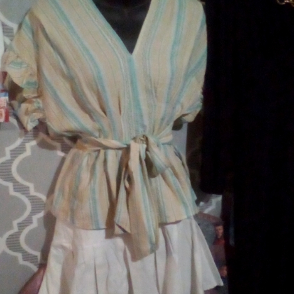 NWT Striped V-neck Blouse/SM
